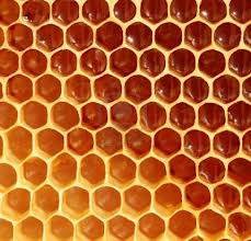 honeycomb