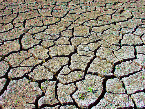 drought-texas