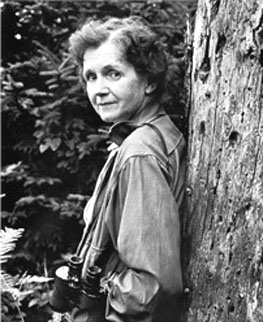 rachel-carson-3-sized