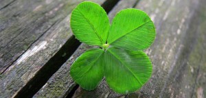Lucky-four-leaf-clover-by-Umberto-Salvagnin-Creative-Commons